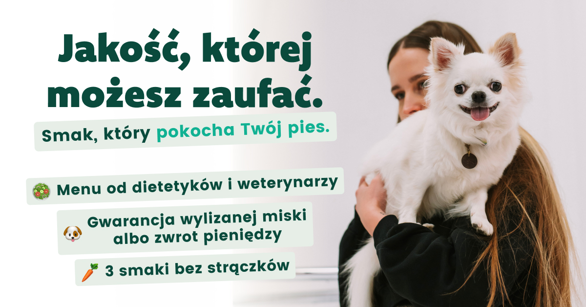 3_1200x628