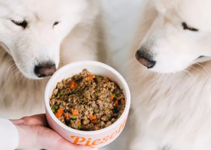  Projekt_bez_nazwy_-_2025-02-27T213441.853