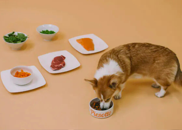  Projekt_bez_nazwy_-_2025-02-27T213621.796