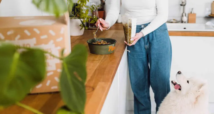  piesotto-posilki-dla-psow-750x400