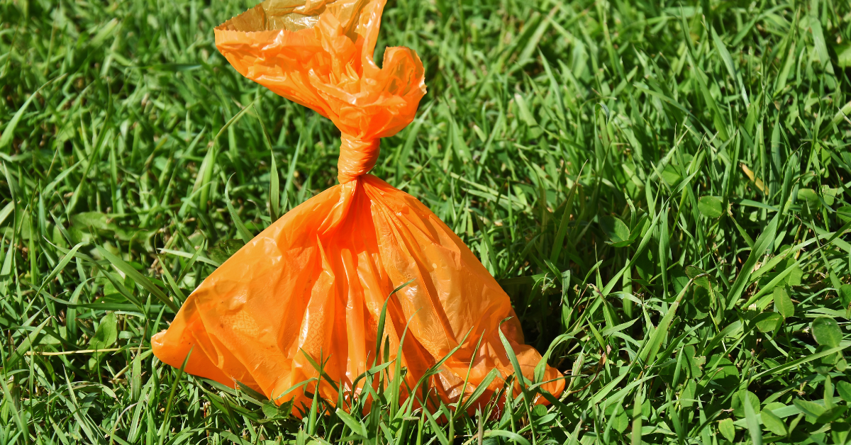  Projekt_bez_nazwy_-_2026-01-23T100207.962