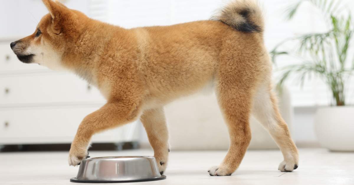  Projekt_bez_nazwy_-_2026-01-23T103033.016