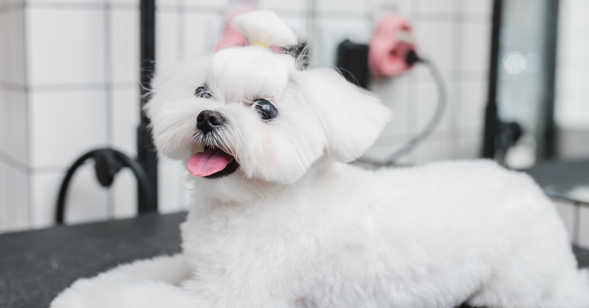  Projekt_bez_nazwy_65