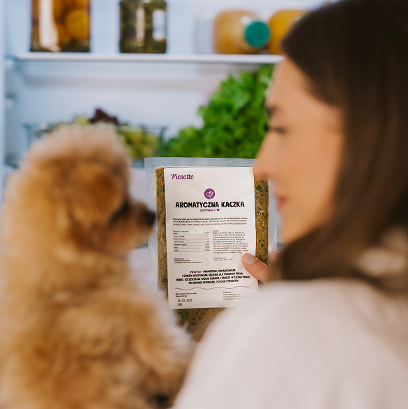 Pies patrzący na karmę