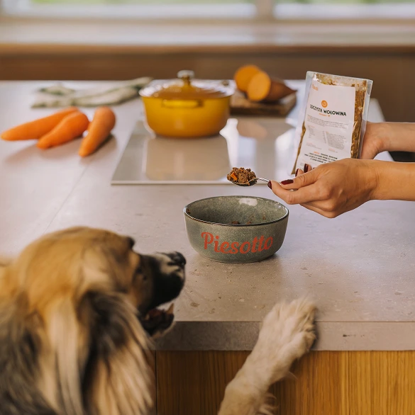 Piesek zagląda do miski