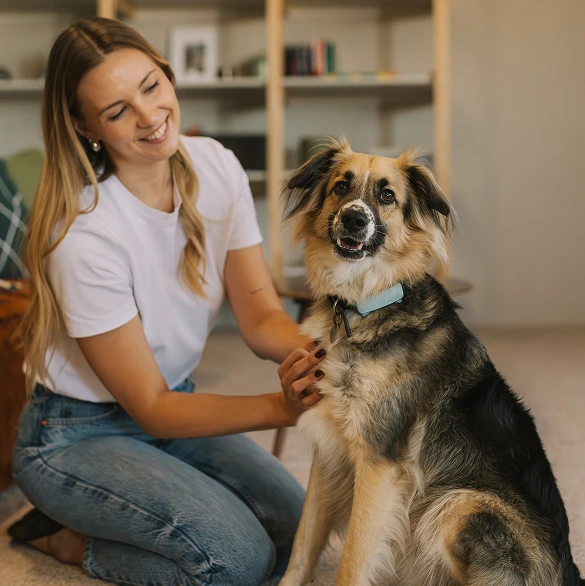 Kobieta głaszcze psa