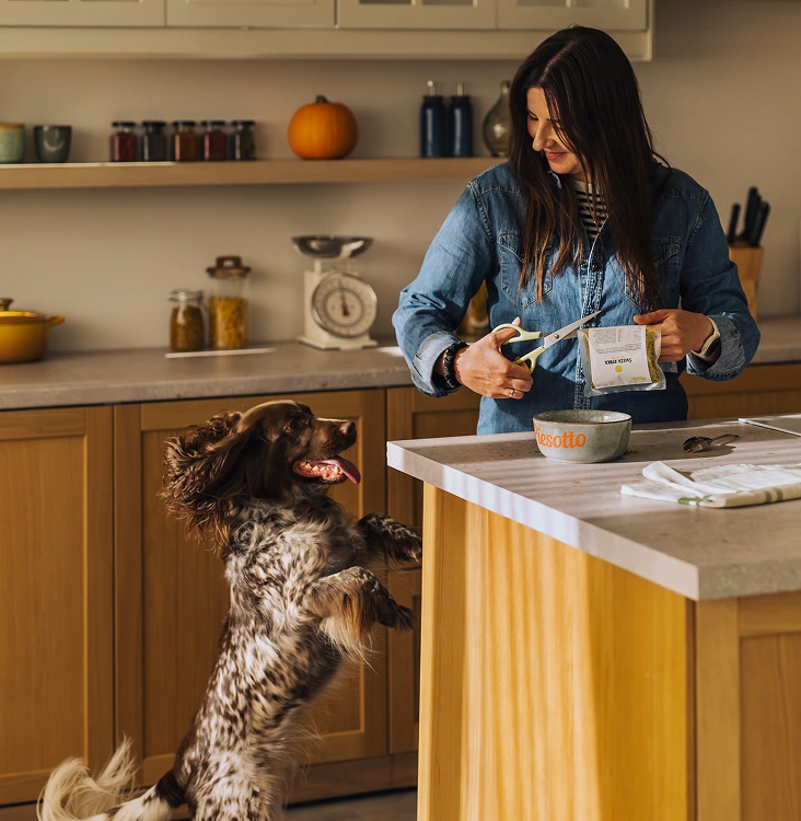 Pies skaczący do blatu kuchennego