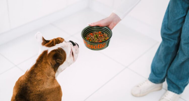 Tłuszcze i kwasy tłuszczowe w diecie psa