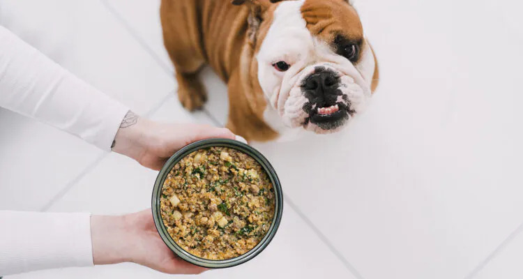 Karma specjalistyczna dla psów