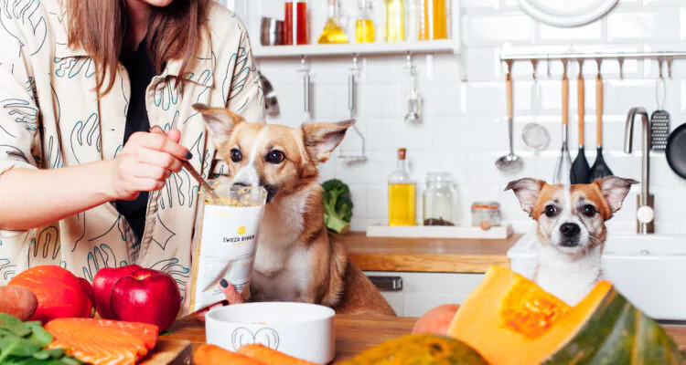 Dlaczego Piesotto jest dobre dla niejadka?