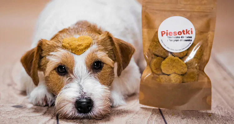 Zdrowe smaczki dla psów – poznajcie Piesotki