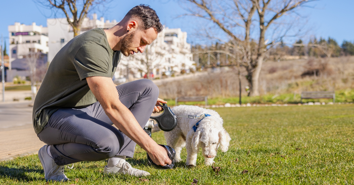Kupa prawdę Ci powie - co stolec Twojego psa mówi o przyswajalności karmy?