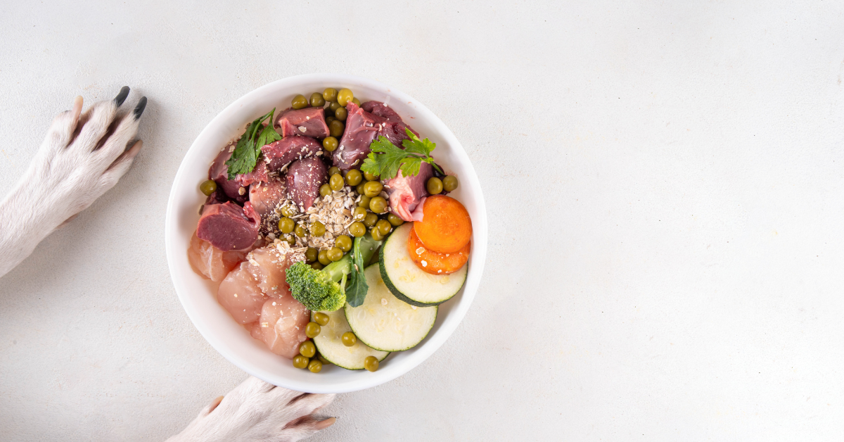 "Human Grade" - czy to realna różnica w jakości psiej diety?