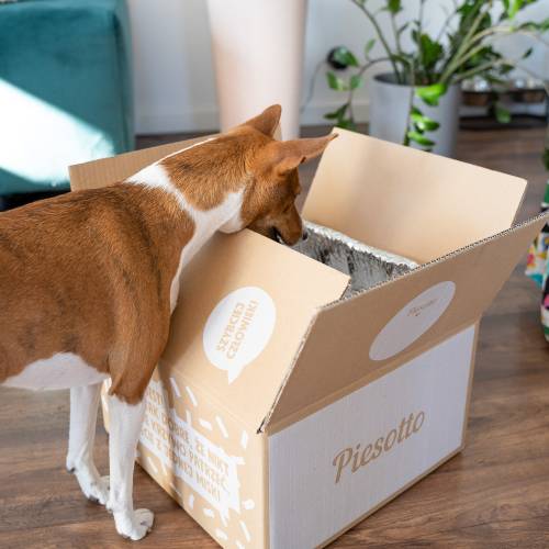 specjalne oferty piesotto