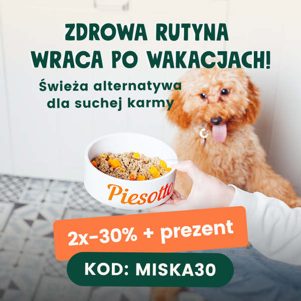 jedzenie dla psa piesotto